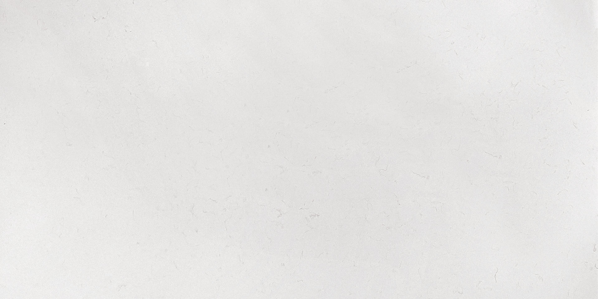 Carrara Standard LQ-601